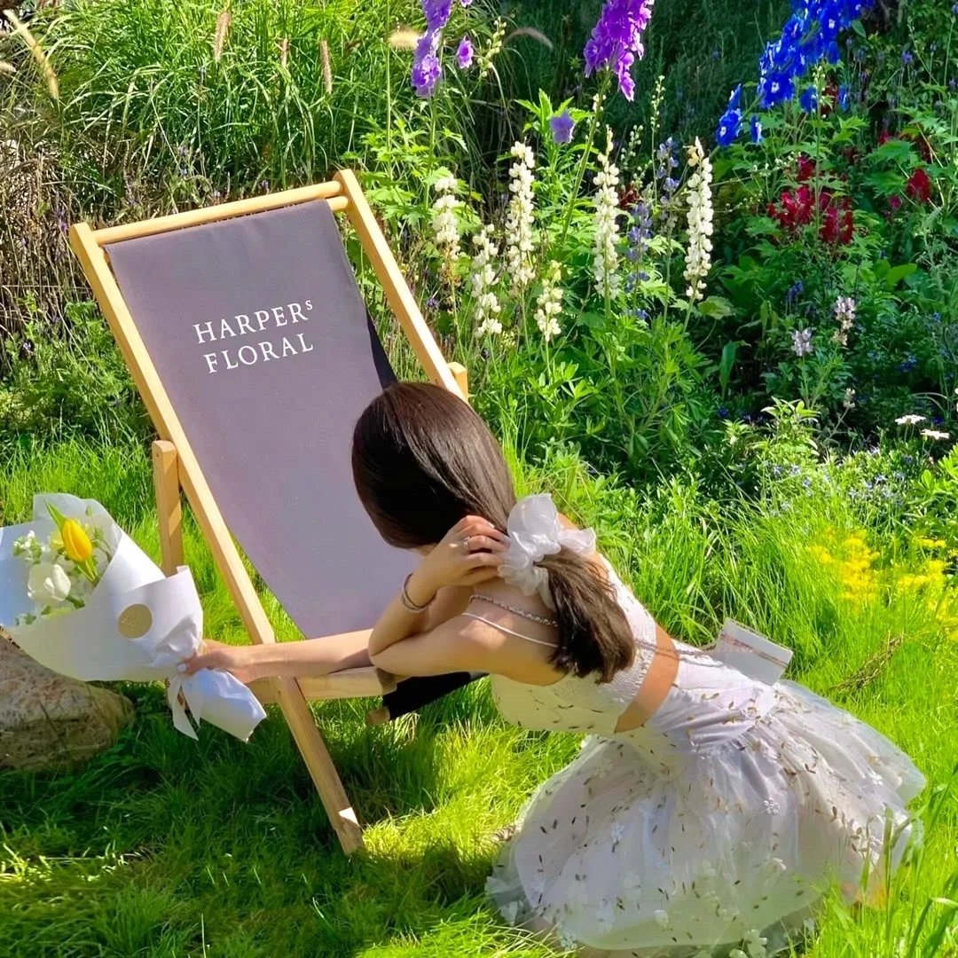 我与你的光年距离2